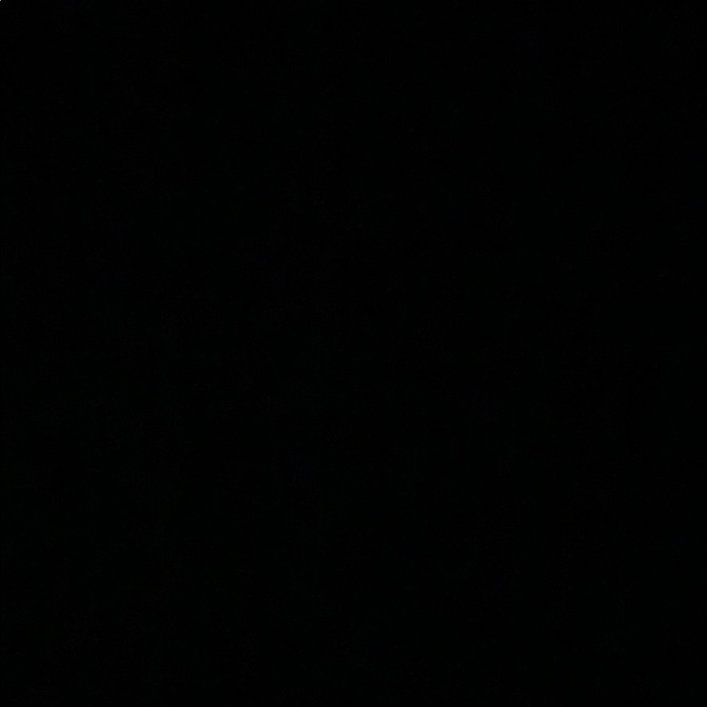 Meet your Posher, Bailey